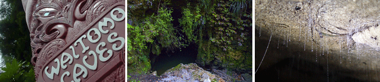 Accommodation Waitomo Caves, Waitomo Caves Hotels
